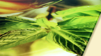 Печать на стекле